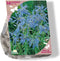 Baltus - Bees & Butterflies Camassia quamash per 50 bloembollen