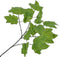 Silk-ka Kunstbloem-Zijden Bloem Bladtak Zijde Groen 81 cm