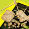 Interactieve Dino Skeleton Dig Kit - Educatief Speelgoed met Glow in The Dark Effect