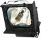 NEC MT50LP - Beamerlamp - Origineel vervangend