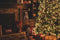 Led kerstverlichting warm en koud wit - 1000 LED's - 68 meter