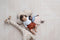 Toddlekind Prettier Puzzle Playmat - Earth - Clay