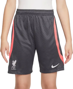 Nike Liverpool FC 23/24 Strike - Kinder Voetbalshorts - Dri-FIT technologie - Grijs
