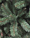 Triumph Tree Forrester Kunstkerstboom - 157x157x260 cm - PVC - Groen