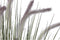 Decoratieve plant DKD Home Decor Lila (30 x 30 x 104 cm)
