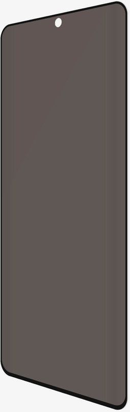 PanzerGlass P7265 - Screenprotector - Samsung Galaxy S21 Ultra