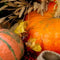 Customize it - Tuinschilderij pompoenen teil 70x50cm