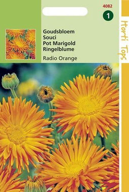2 stuks Calendula Officinalis Cactusbl. Radio Oranje