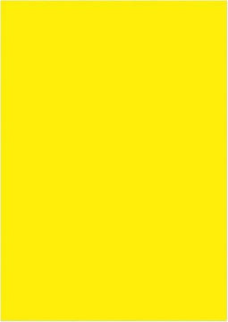 Kangaro papier - A4 - 120 grams FSC - pak 100 vel - geel - K-0043F025