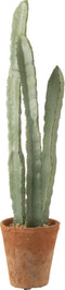 J-Line cactus 3 stuks in pot - kunststof - groen - large