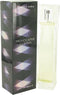 provocative edp 100ml spray