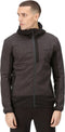 Regatta Bresdon Softshelljas Heren Zwart/grijs Maat Xxl