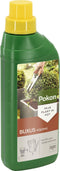Pokon Buxus Voeding - 500ml - Voor een gezonde, groene Buxus - Plantenvoeding