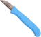 W-Selected Haringkaakmesje RVS 4 cm - Ideaal voor Visliefhebbers - Blauw Kunststof Heft