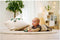 Eichhorn Baby HIPP Houten Duwfiguur Ezel