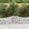 vidaXL - Schanskorven - 14 - st - gewelfd - 200x50x40/60 - cm - gegalvaniseerd - ijzer