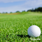 Organifer - Gazon Topdressing - Mix met Mycorrhiza en Rhizobacteriën (25x = 1250 Liter - voor 1250 m