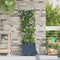 vidaXL - Tuinplanten - met - Waterbewateringssysteem - Grijs