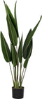 Decoratieve plant DKD Home Decor Groen PE (40 x 40 x 115 cm)