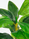 Mica Decorations Strelitzia Kunstplant - H150 x Ø40 cm - Groen