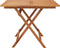 Tuintafel inklapbaar 90x90x75 cm massief acaciahout