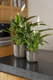 Capi Europe - Bloempot bol Craft - 24x21 - Antraciet - Opening Ø20.9 - Bloempot voor binnen - 5 jaar garantie - BCRBL134