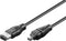 FireWire 400 kabel met 4-pins - 6-pins connectoren / zwart - 3 meter