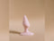 Handgemaakte Abu anale Pluggen - Set van 3 - diameter: 3,5cm, 4cm en 5cm