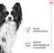 Royal Canin X-Small Adult Wet - Hondenvoer - 12x85 g