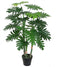 Decoratieve plant Home ESPRIT PVC 80 x 80 x 100 cm