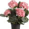 Roze hortensia kunstplant in zwarte kunststof pot 44 cm - Hydrangea - Woondecoratie