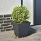 vidaXL - Plantenbak - 30x30x30 - cm - staal - antracietkleurig