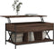 vidaXL - Salontafel - 100x55x50 - cm - bewerkt - hout - en - metaal - bruineikenkleur
