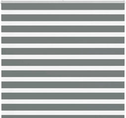 vidaXL - Zebra - rolgordijn - 165x100 - cm - stofbreedte - 160,9 - cm - donkergrijs