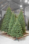 Triumph Tree Smalle Kunstkerstboom Camden - 120x69 cm - Groen