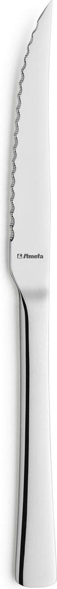 Vleesmessenset Amefa Atlantic Metaal Staal 12 Stuks