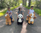 Petride By Rollzone Panda Elektrisch Rijdend Dier