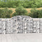 vidaXL - Schanskorven - 5 - st - gewelfd - 300x30x100/120 - cm - ijzer