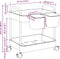 vidaXL - Opbergtrolley - 2-laags - 37x28x43,5 - cm - acryl - transparant