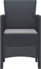 vidaXL - Tuinmeubels - met - Kussens - 2 - stuks - Anthraciet - Poly - Rattan