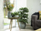 Steege Plantenpot - moderne look - shiny blauw - D18 x H16 cm - Bloempotten - Keramiek