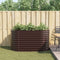 vidaXL - Tuin - Kweekbak - Bruin - 160x80x81 - cm - Gegalvaniseerd - Staal