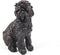 Housevitamin Zwarte Labradoodle -17x9,5x23cm