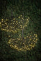 Luca Lighting Kerstverlichting Paardenbloem met 120 Warm Witte LED Lampjes - Ø45 cm - Zwart