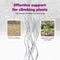 vidaXL - Spiraal - Plantensteunen - 50 - stuks - 150 - cm - Gegalvaniseerd - Staal