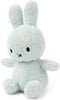 Nijntje x Bon Ton Toys Terry Light Groen - 23 cm