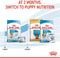 Royal Canin Mini Starter Mother & Babydog - Puppy-Hondenvoer - 4 kg