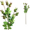 PTMD Berry Plant Kunsttak - 26 x 15 x 62 cm - Groen/Roze