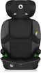 Lionelo Billy i-Size - Autostoel ISOFIX - Groep 1 2 3 - 76-150 cm - 9-36 kg - 10-standen Hoofdsteun - Grijs