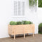vidaXL - Plantenbak - verhoogd - 121x50x57 - cm - massief - grenenhout